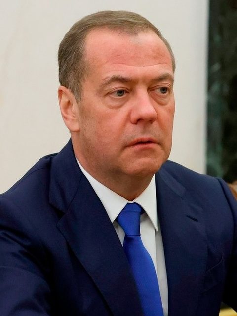 Dmitrijus Medvedevas, portretas